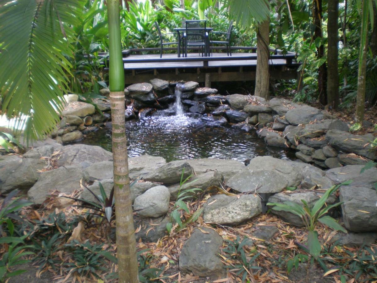 Hidden Gem @ Palm Cove Leilighet Eksteriør bilde